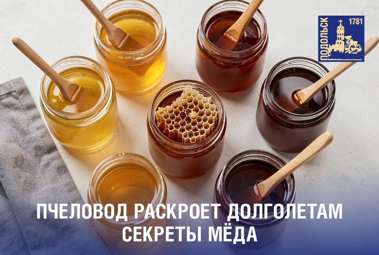 Подольским «долголетам расскажут» всё о меде и пчелах
