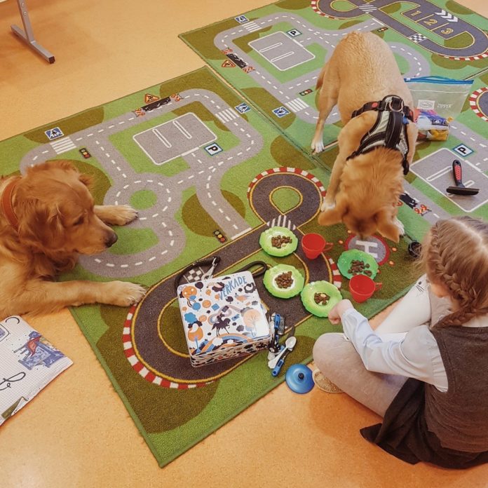 Подольский Центр реабилитации временно бездомных животных «Юна» осуществляют программу канистерапии Подольский Центр реабилитации временно бездомных животных «Юна» осуществляют программу канистерапии