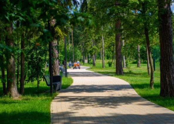 Продолжается сбор предложений по определению «зеленых зон» в городах Подмосковья для их защиты на... Продолжается сбор предложений по определению «зеленых зон» в городах Подмосковья для их защиты на...