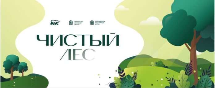 В лесопарке «Елочки» в Кутузово второго ноября пройдет акция «Чистый лес»  В лесопарке «Елочки» в Кутузово второго ноября пройдет акция «Чистый лес»