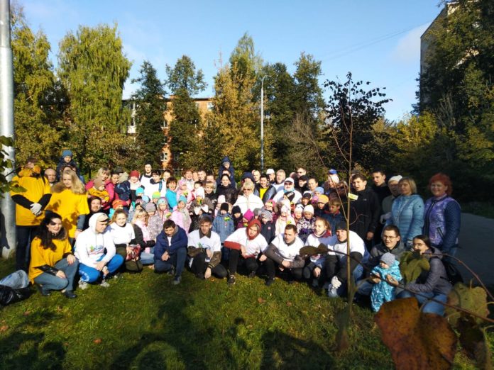 Наш лес: Подольские журналисты  выращивают липовую аллею в сквере 200-летия Подольска