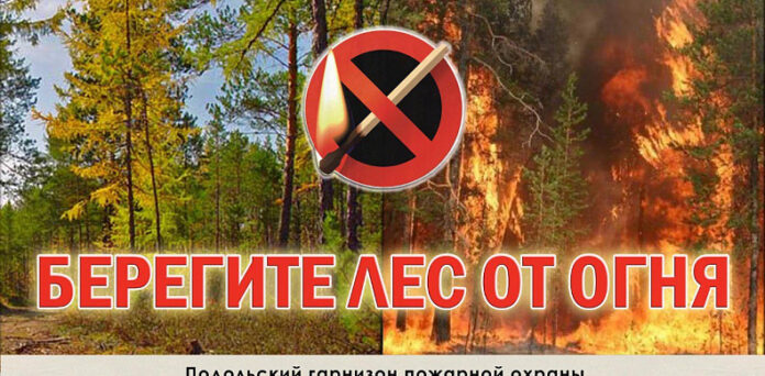 Соблюдайте правила пожарной безопасности в лесах! Соблюдайте правила пожарной безопасности в лесах!