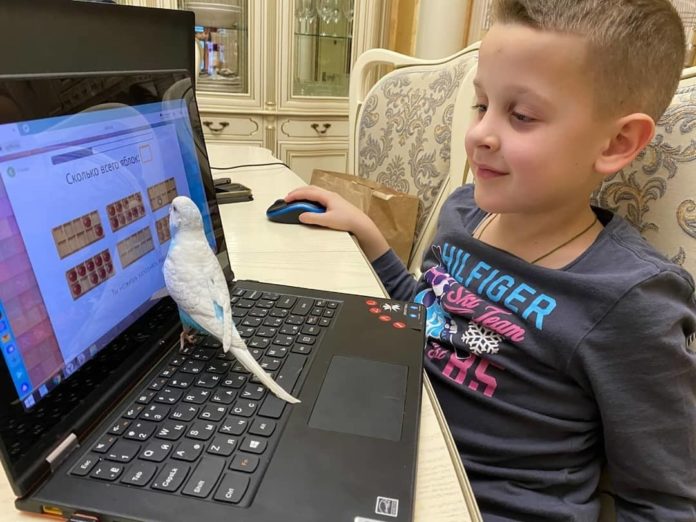 Финал муниципального экологического конкурса “Мы в ответе за тех, кого приручили” прошел 29 января...