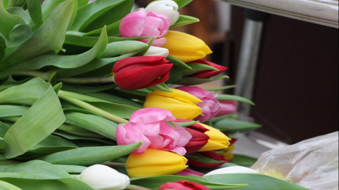 Число цветочных киосков в Подмосковье выросло на 100 единиц за 2018 год Число цветочных киосков в Подмосковье выросло на 100 единиц за 2018 год