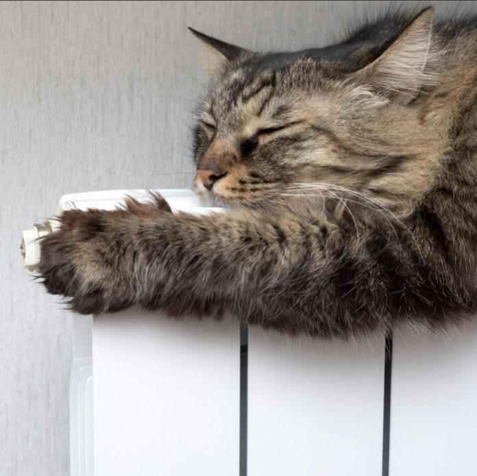 Комитет по жилищно-коммунальному хозяйству администрации городского округа Подольск инфрмирует