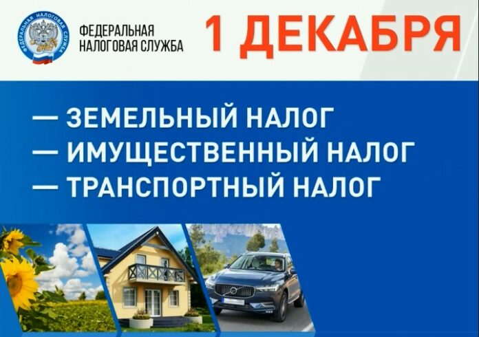 В Большом Подольске максимальная сумма начислений пришлась на транспортный налог В Большом Подольске максимальная сумма начислений пришлась на транспортный налог