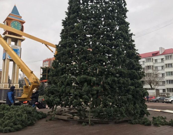 В сквере Поколений установят главную ёлку Подольска В сквере Поколений установят главную ёлку Подольска