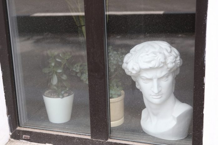 Принять участие в конкурсе фотографий «Дом не клетка» приглашают подольчан