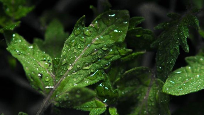 Об особенностях молодежного форума «Экосистема» поведают в прямом эфире Об особенностях молодежного форума «Экосистема» поведают в прямом эфире