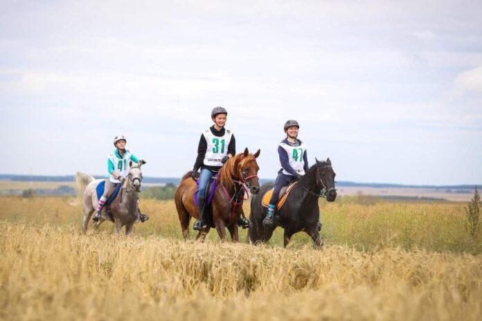 Подольские спортсменки успешно выступили на чемпионате Подмосковья по конному спорту