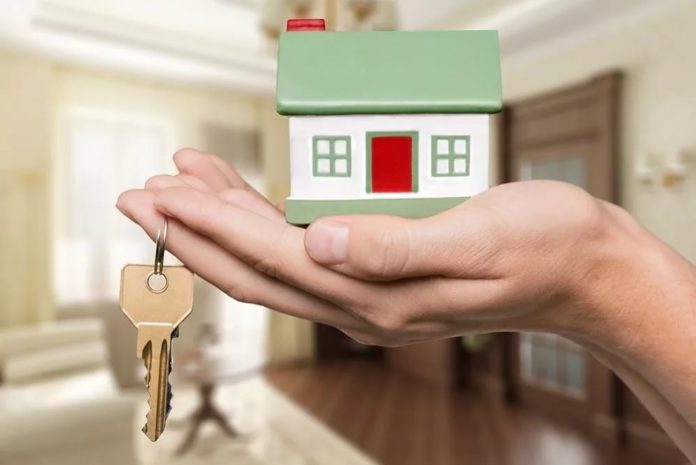 В Московской области для молодых учителей стартовал прием заявок на соципотеку