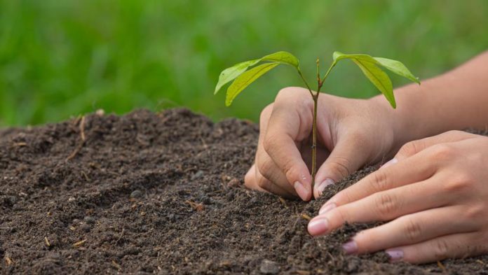 Всех желающих приглашают принять участие в проекте «Экопоколение»