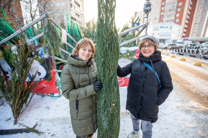 Ёлочные базары работают в Городском округе Подольск Ёлочные базары работают в Городском округе Подольск