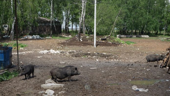 Порядок – дело каждого Порядок – дело каждого