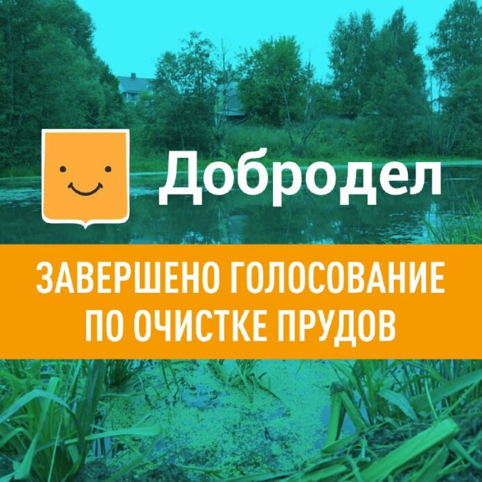 Голосование по очитке прудов в Подольске завершено