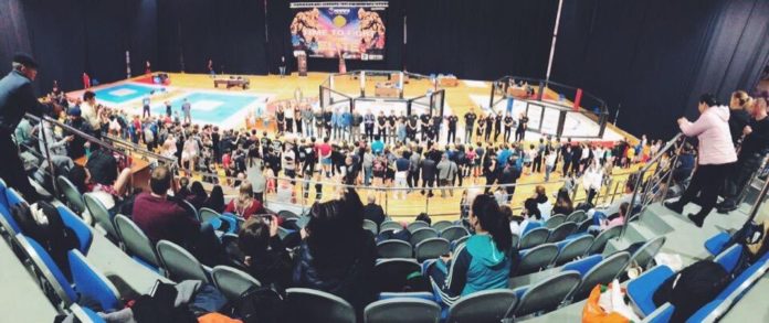 В Климовске прошел турнир по смешанным боевым искусствам В Климовске прошел турнир по смешанным боевым искусствам