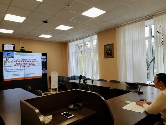 Ученые ФИЦ ВИЖ имени Л.К. Эрнста приняли участие в XX Всероссийской конференции молодых ученых... Ученые ФИЦ ВИЖ имени Л.К. Эрнста приняли участие в XX Всероссийской конференции молодых ученых...