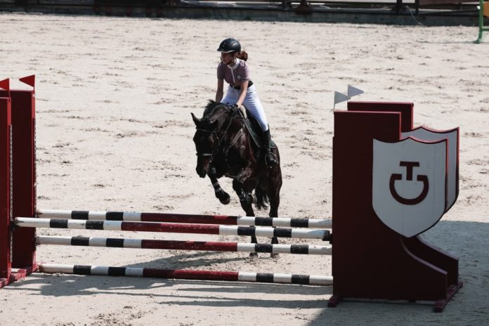 Подольчане стали лучшими на конкурсе наездников в Подмосковье