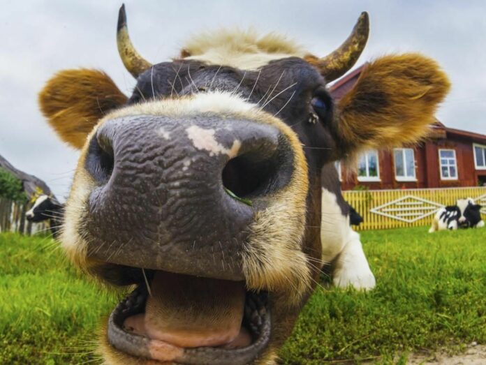 Информация для подольчан Информация для подольчан