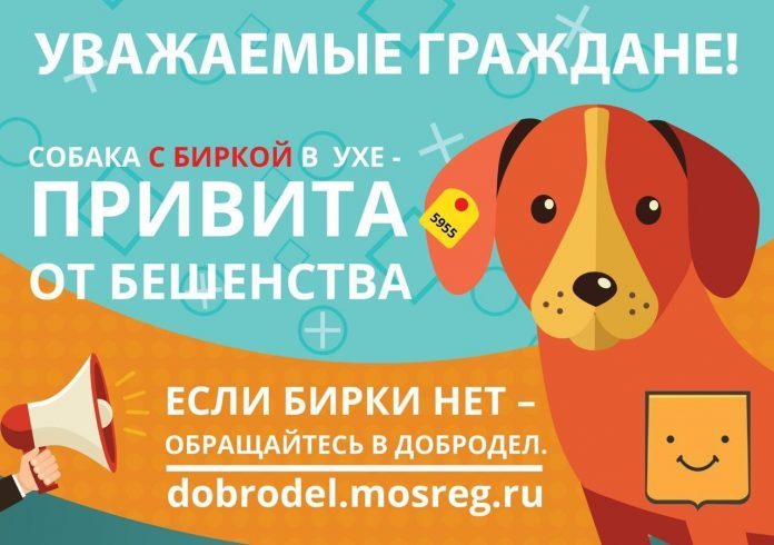 Памятка для жителей Подольска об обращении с собакой с биркой в ухе Памятка для жителей Подольска об обращении с собакой с биркой в ухе