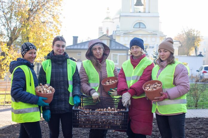 Подольский комбинат благоустройства высадит более 300 тысяч луковиц тюльпанов нынешней осенью Подольский комбинат благоустройства высадит более 300 тысяч луковиц тюльпанов нынешней осенью