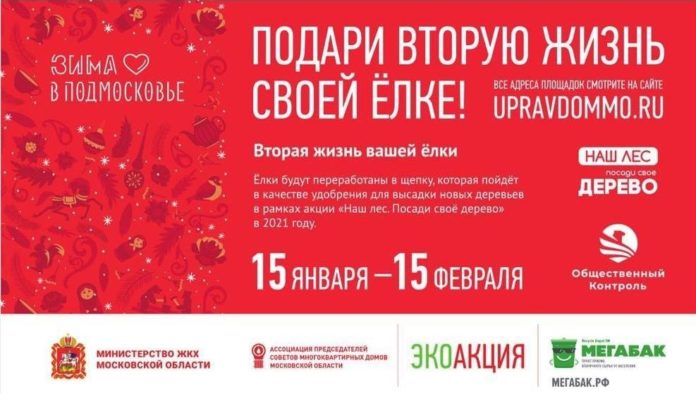 Более двадцати пунктов приёма ёлок на переработку откроют в Большом Подольске Более двадцати пунктов приёма ёлок на переработку откроют в Большом Подольске