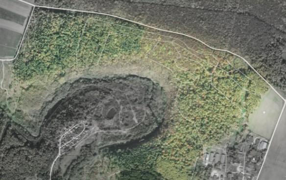 Желающие могут принять участие в онлайн-опросе по благоустройству лесопарка «Дубровицкий лес»