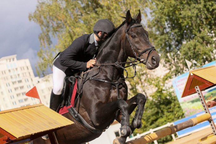 Турнир по конкуру и выездке  на Кубок памяти А.В. Никулина пройдет  в... Турнир по конкуру и выездке  на Кубок памяти А.В. Никулина пройдет  в...