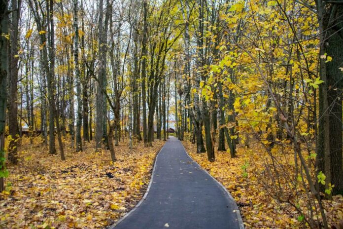 В Климовске обустроили восемь народных троп В Климовске обустроили восемь народных троп