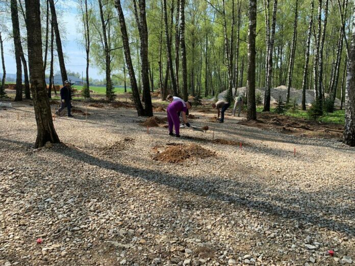 В Подольске продолжается благоустройство «Дубровицкого леса»  В Подольске продолжается благоустройство «Дубровицкого леса»