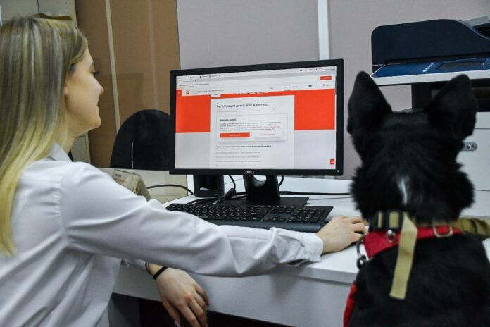 В подольском МФЦ принимают четвероногих посетителей В подольском МФЦ принимают четвероногих посетителей