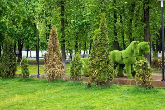 Благоустройство городского парка Талалихина будет продолжено Благоустройство городского парка Талалихина будет продолжено