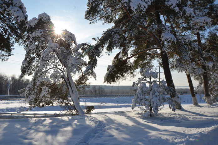 Прощальный аккорд зимы  – белая красота февраля