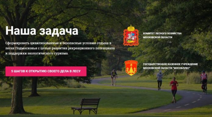 В Подмосковные леса приглашают предпринимателей для создания комфортных условий отдыха и спорта