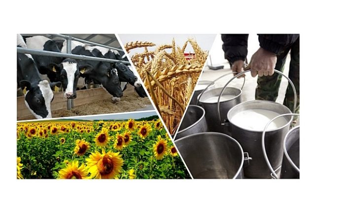 В Международной научно-практической конференции принял участие сотрудник ВИЖ им. Л.К. Эрнста В Международной научно-практической конференции принял участие сотрудник ВИЖ им. Л.К. Эрнста