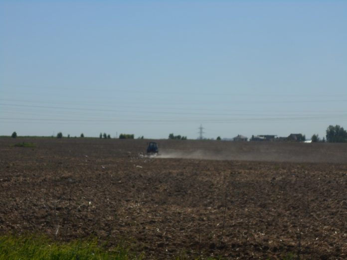 149 проверок прошло в Подольске в рамках муниципального земельного контроля 149 проверок прошло в Подольске в рамках муниципального земельного контроля