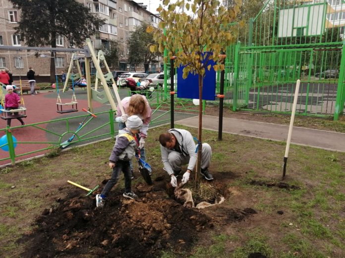 Акция «Наш лес. Посади свое дерево» прошла в Климовске Акция «Наш лес. Посади свое дерево» прошла в Климовске