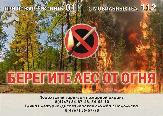 Берегите лес от пожаров! Отдел ГО и ЧС предупреждает
