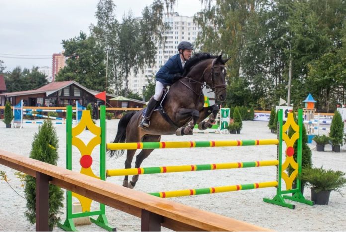 Николай Пестов наградил победителей турнира по конкуру Николай Пестов наградил победителей турнира по конкуру