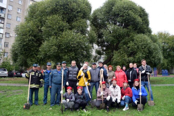Более 15 саженцев клёна высадили в мкр. Климовск