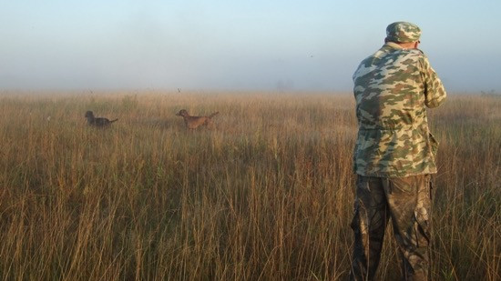 Новые правила охоты начали действовать в Московской области с начала года Новые правила охоты начали действовать в Московской области с начала года