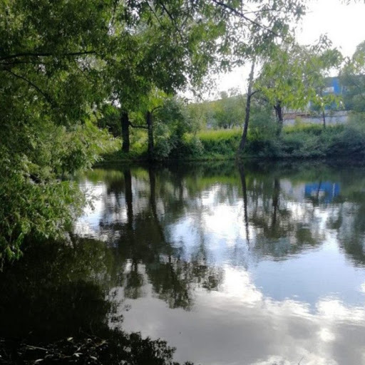 В Подольске устраняют причины загрязнения водного объекта
