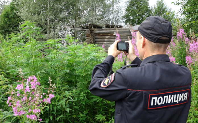 В Подольске полицейские проведут оперативно – профилактическую операцию «МАК-2021» В Подольске полицейские проведут оперативно – профилактическую операцию «МАК-2021»