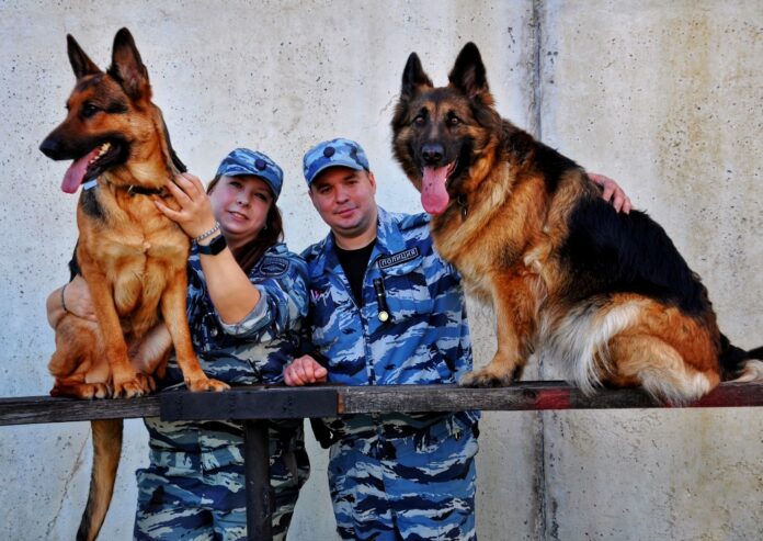 В преддверии Дня семьи, любви и верности полицейские по г.о. Подольск поздравили своих коллег В преддверии Дня семьи, любви и верности полицейские по г.о. Подольск поздравили своих коллег