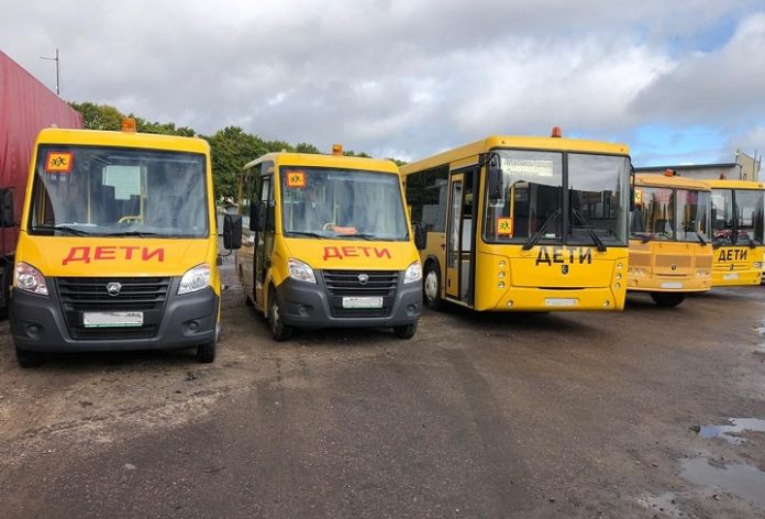 Школьные автобусы на линии Школьные автобусы на линии