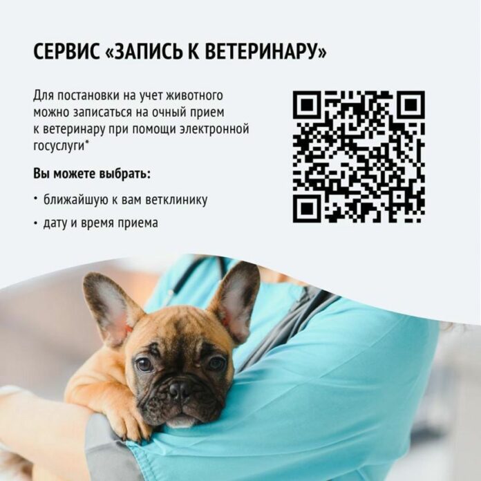 Не забудьте поставить на учет ваших питомцев! Не забудьте поставить на учет ваших питомцев!