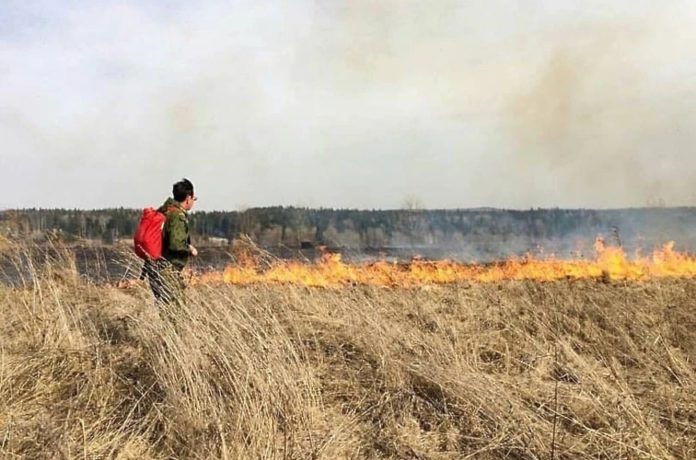 Пожароопасный сезон объявлен в лесах Большого Подольска Пожароопасный сезон объявлен в лесах Большого Подольска