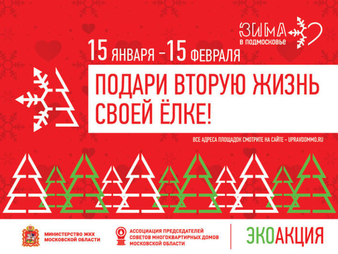 В Подольске в рамках акции «Подари вторую жизнь своей елке» пункты приема елей будут... В Подольске в рамках акции «Подари вторую жизнь своей елке» пункты приема елей будут...
