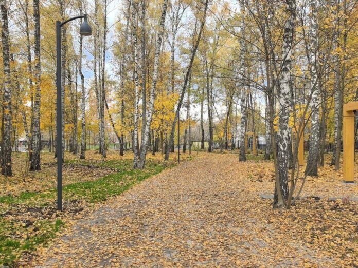 Подольский лесопарк «Березки» откроют в ноябре Подольский лесопарк «Березки» откроют в ноябре