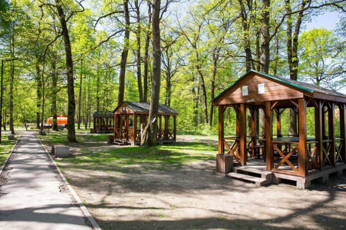 Мангальные зоны оборудованы в местах отдыха Мангальные зоны оборудованы в местах отдыха